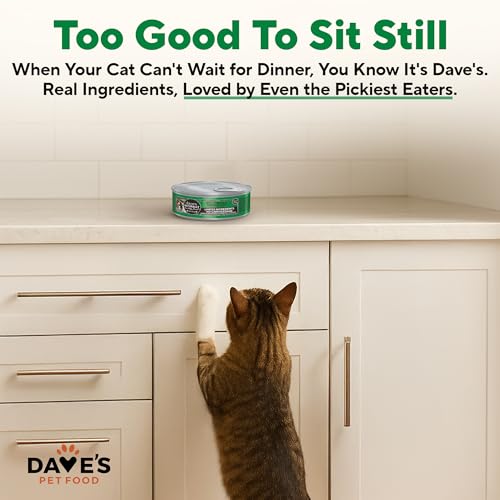 Grain Free Wet Cat Food (5.5 Ounce (Pack of 24))