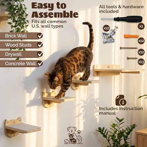 Cat Wall Shelves & Climbing System