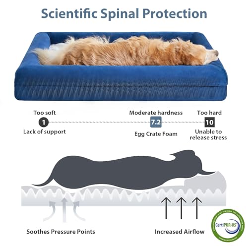 XL Extra Large Orthopedic for Senior Dog Bed Comfy Sleeping (Blue / X-L (41x28x7in))