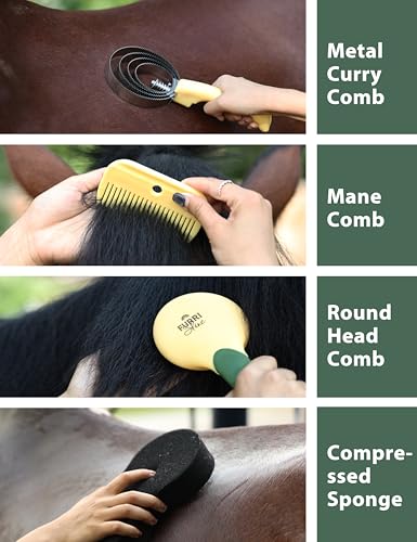 Horse Grooming Kit (Pasture Glow)