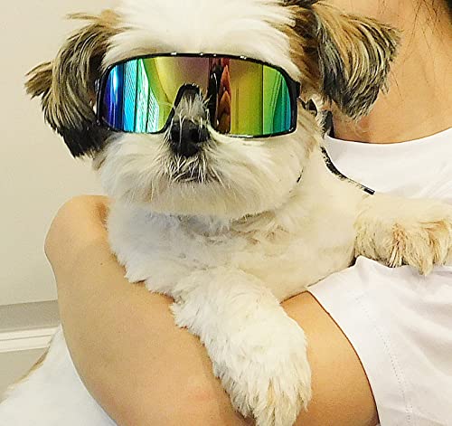 G029 Small Dog Breed 8 (S, 8-18lbs, Sport Turbo Black-rainbow mirror)
