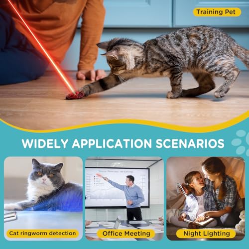 Cat Toy for Indoor (Rose Gold)