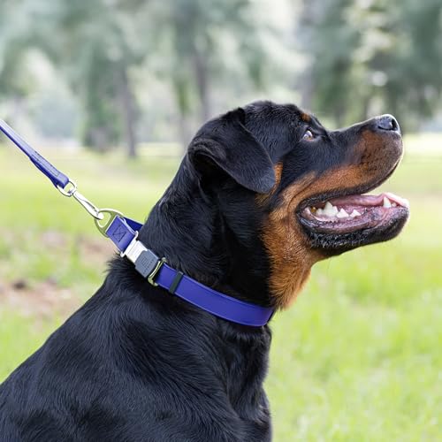 Biothane Waterproof Dog Collar with Herm Sprenger Black Stainless Steel Quick Release Buckle (W 1" x L 15"-25" / Blueberry Royal)