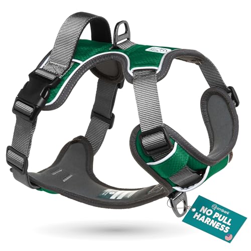 Embark No Pull Dog Harness (L / Green)