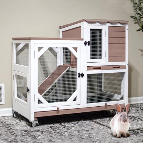 2 Story Rabbit Hutch with Chew