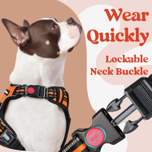 Dog Harness for Large (Large / Orange)