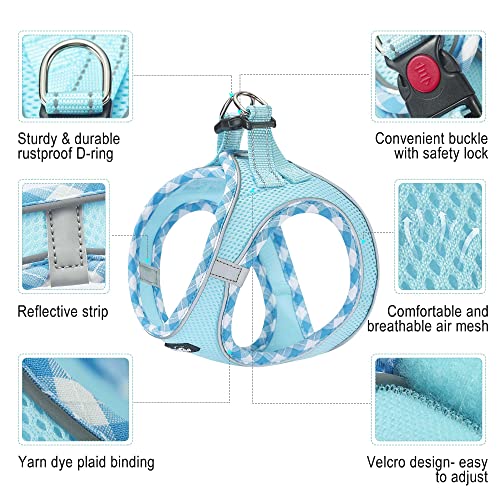 Dog Harness with Leash Set (XS / Turquoise)