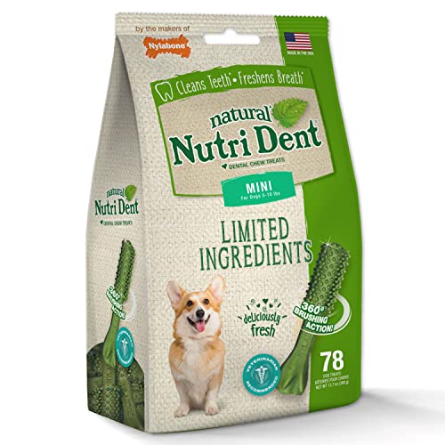 Nutri Dent Dog Dental Treats (13.7 Ounce (Pack of 1))