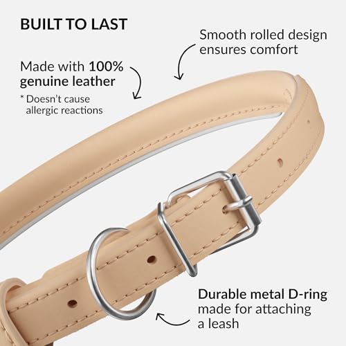 Tangle Free Reflective Leather Dog Collar (Beige / S)
