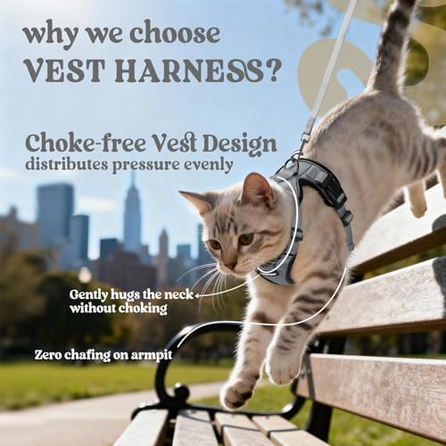 Cat Harness and Leash Set (Xs / Grey)