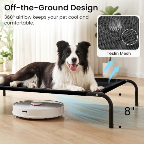Elevated Cooling Dog Bed for Large Dogs (Black / 48" X 35.5" X 8")