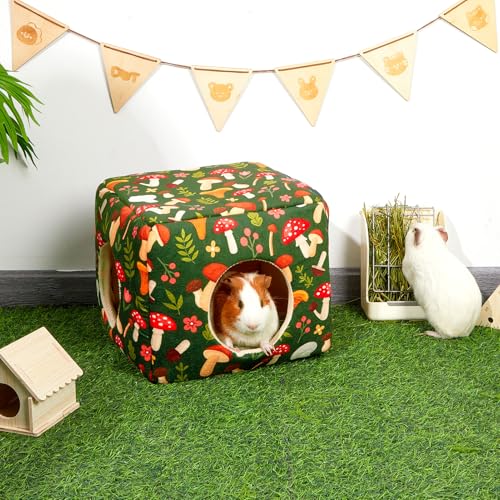 Guinea Pig Hideout (Green Mushroom)