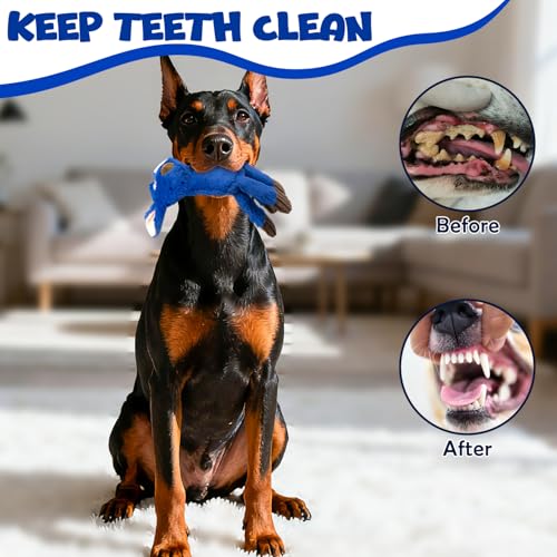 3 Pack No Stuffing Dog Toys (3-color)