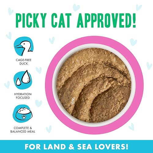 B.F.F. Play Best Feline Friend Paté Lovers (3 Ounce (Pack of 12))