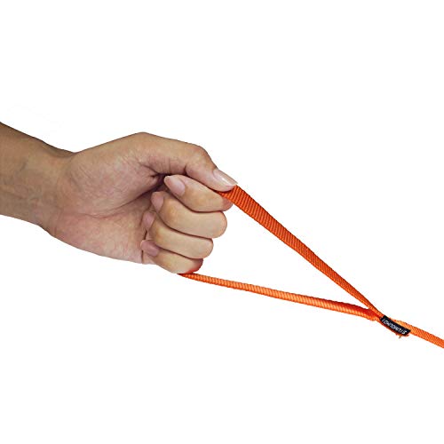 Dog Puppy Obedience Recall Training Agility Lead (Orange / 15 Feet)