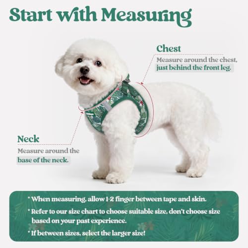 Dog Harness Medium Sized and Leash Set (Rainforest Green / M (chest: 16 - 18.5"))