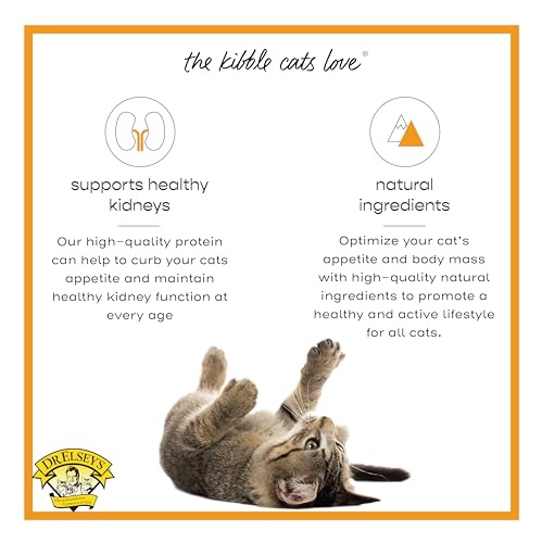 cleanprotein Turkey Cat Kibble 6.6 lb Bag (6.6 Pound (Pack of 1))