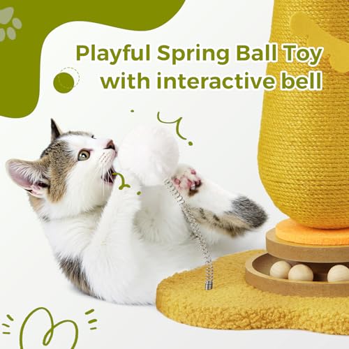 Kitten Toys for Indoor Cats Scratching Post