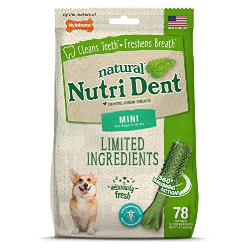Nutri Dent Dog Dental Treats (13.7 Ounce (Pack of 1))