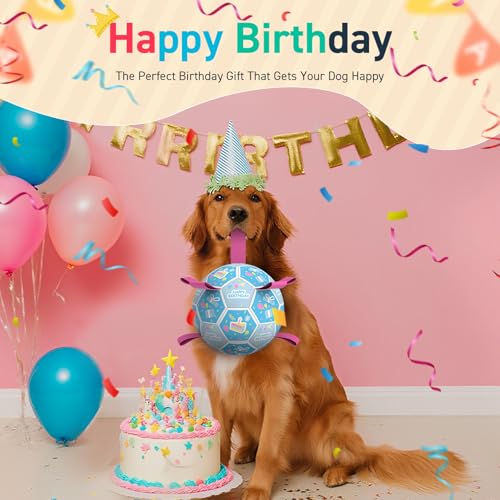 Dog Birthday Toys (Birthday Blue / Large Size 3 (8 Inch))