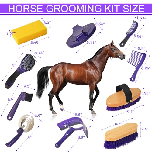 Horse Grooming Kit