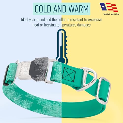 Biothane Waterproof Dog Collar with Herm Sprenger Black Stainless Steel Quick Release Buckle (W 3/4" x L 12"-19" / Teal)