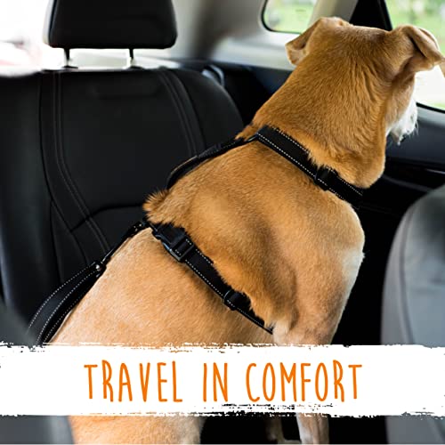 Dog Seat Belt For Car (Latch Bar Attachment)