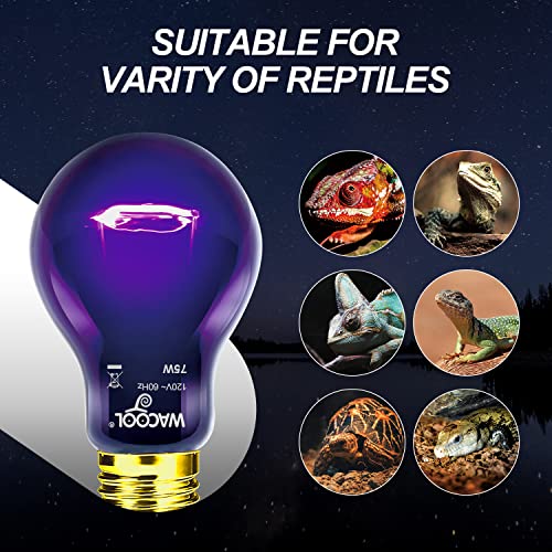 WACOOL 2Pack Reptile Night Heat Lamp