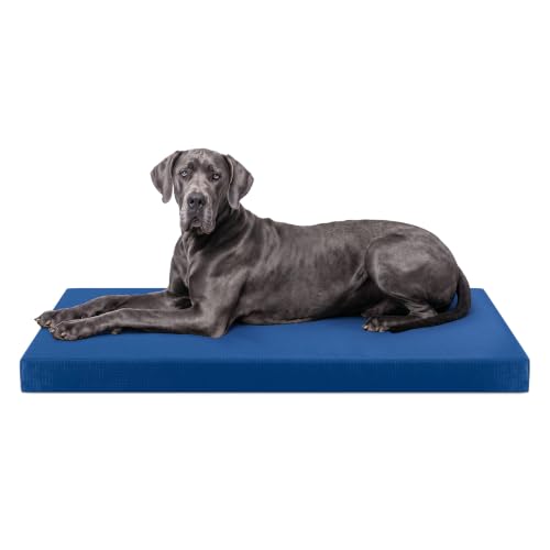 Tough Ripstop Orthopedic Crate Bed (XX-Large (53" L x36" W x 4" H) / Blue Quartz)