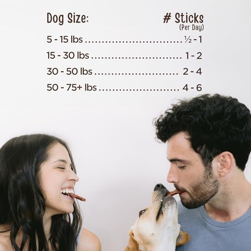 Essential Duck Savory Sticks Dog Treats 14 oz (14 Ounce (Pack of 1))