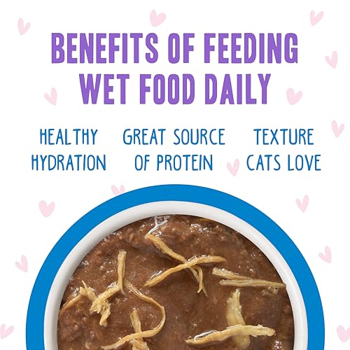 B.F.F. OMG Best Feline Friend Oh My Gravy! (5.5 Ounce (Pack of 8))