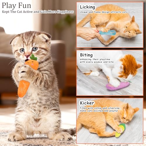 Catnip Cat Toys 5 Pack Vegetable Plush for Indoor Cats (Vegetables Catnip toys 5 Pack)
