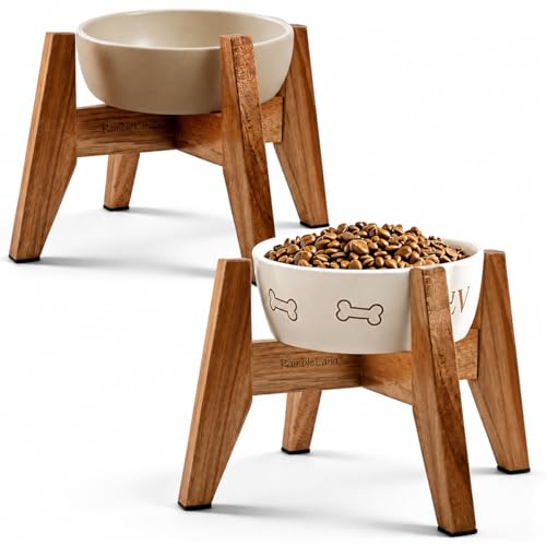 Elevated Dog Bowl Stand for Small Dogs (Small - 2 Pack)