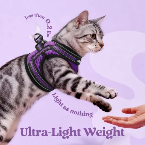 Cat Harness and Leash Set (S / Purple)