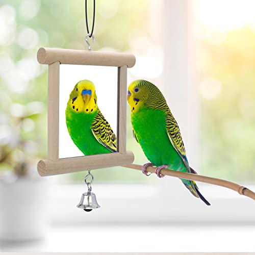 4 PCS Bird Mirror with Bell Hanging Interactive Toy (Multi-colored)