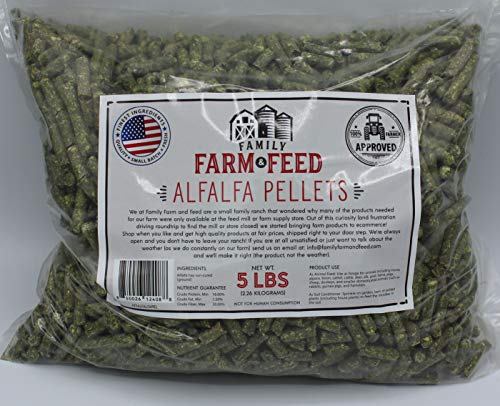Alfalfa Hay Food