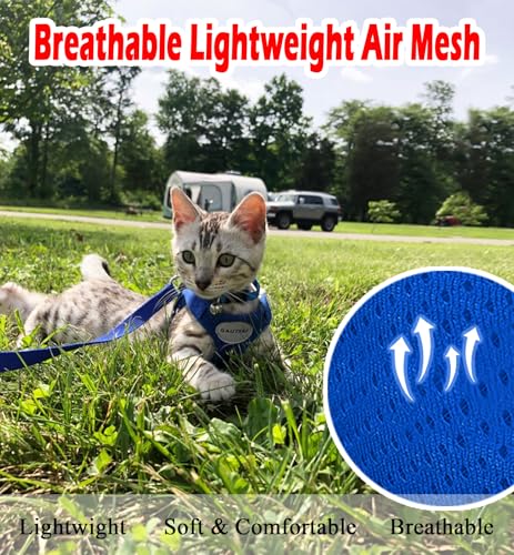 Cat Harness and Leash Set (XS (Chest: 6" - 8") / Blue)