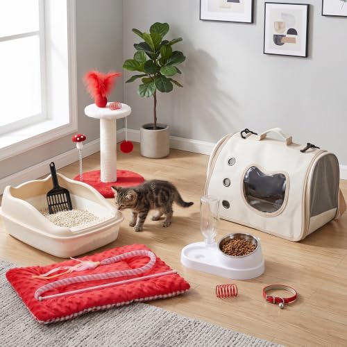 10 Pcs Kitten Starter Kit for Indoor (Classic / Small / Red)