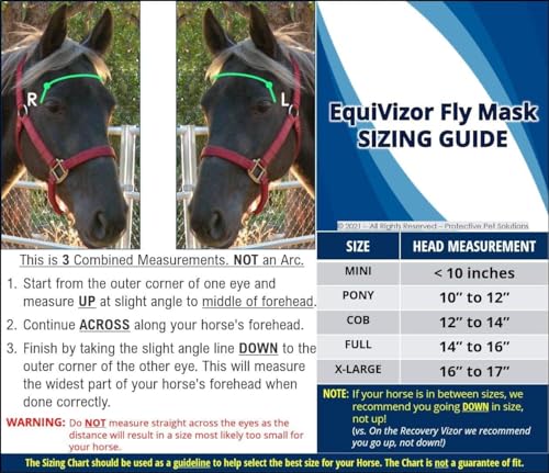 EquiVizor 95% UV Eye Protection (COB)