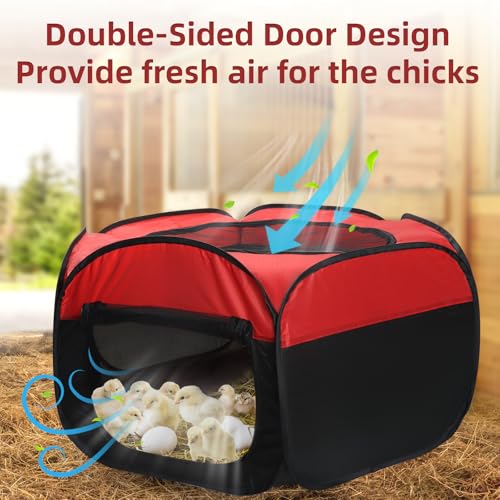 Chicken Brooder Box for Chick Starter Kit
