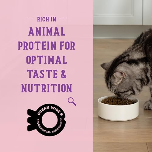 Goodbowl Dry Cat Food (3 Pound (Pack of 1))