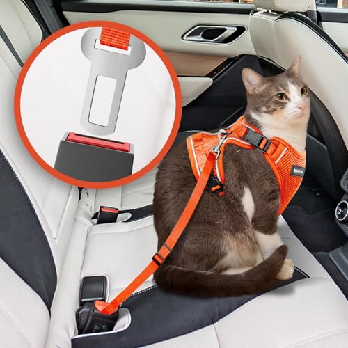 Cat Harness and Leash for Walking Escape Proof Soft Adjustable Cat Leash Breathable Comfortable Vest Easy to Wear Kitten Harness for Outdoor Travel (Orange / X-Small)