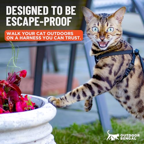 Houdini™ Escape Proof Cat Harness and Leash (Black / XL)