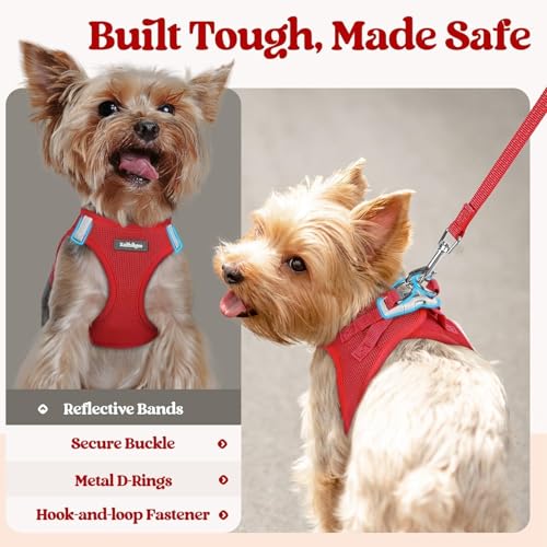 Dog Harness Small Sized and Leash Set (Red / Xs (chest: 13.3 - 15.5"))