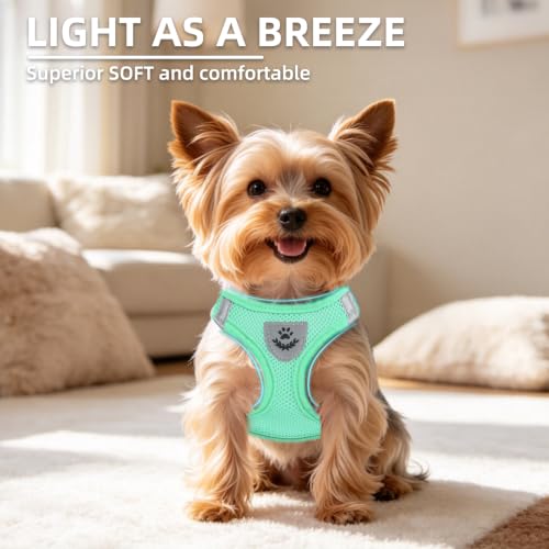 Dog Harness Collar and Leash Set No Pull for Small Medium Sized (Solid Green / S (CHEST 14.5"-16"))