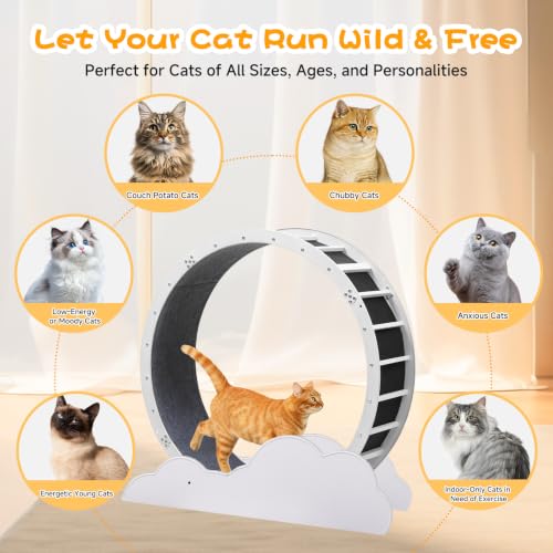 Cat Wheels 40" Diameter