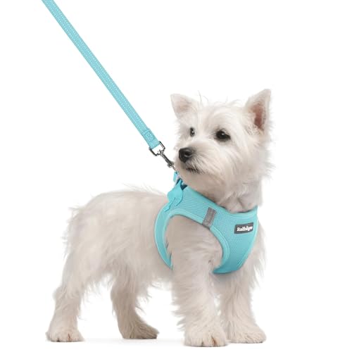 Dog Harness Small Sized and Leash Set (Mint Blue / S (chest: 15.1 - 16.5"))