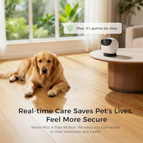 2026 3K Pet Camera Treat Dispenser (White)