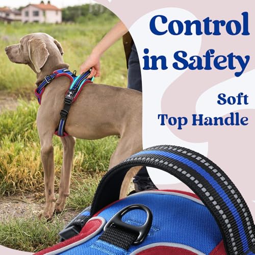 Dog Harness for Large (Blue & Red / Large)