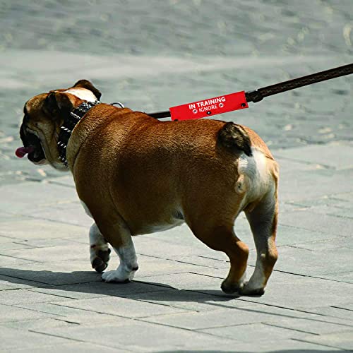 Funny Dog Leash Sleeve Have in Training Ignore Dog Leash Wrap Wrap Alert Hanging ID Patch Tag Pet Birthday Gift (Training Ignore-Sleeve)